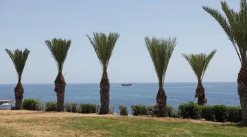 Atlantica Akteon