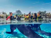 ATLANTIS THE PALM