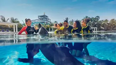 ATLANTIS THE PALM