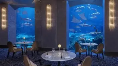 Atlantis The Palm