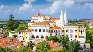Atlantycka ślicznotka