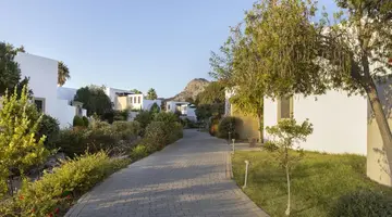 AULUS LINDOS RHODES CURIO COLLECTION BY HILTON