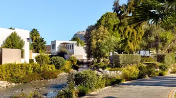 Aulus Rhodes, Curio Collection by Hilton