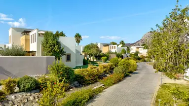 Aulus Rhodes, Curio Collection by Hilton
