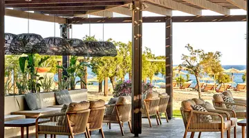 Aulus Rhodes, Curio Collection by Hilton