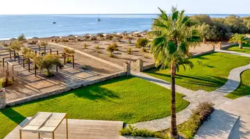 Aulus Rhodes, Curio Collection by Hilton