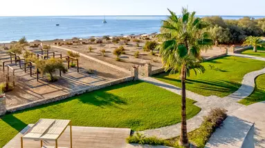 Aulus Rhodes, Curio Collection by Hilton