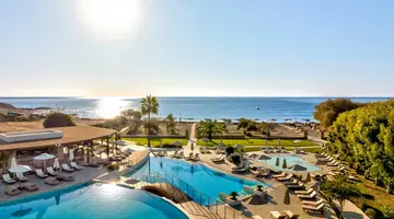Aulus Rhodes, Curio Collection by Hilton