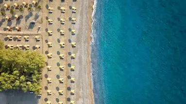 Aulus Rhodes, Curio Collection by Hilton