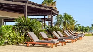 Aulus Rhodes, Curio Collection by Hilton