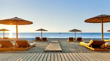 Aulus Rhodes, Curio Collection by Hilton
