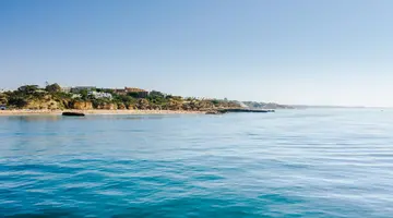 Auramar Beach Resort