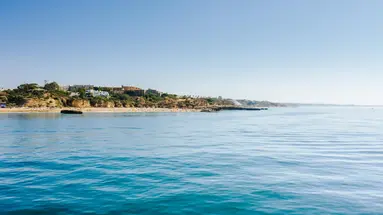 Auramar Beach Resort