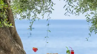 Aurora Beach