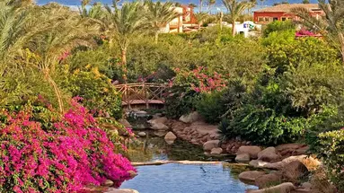Aurora Oriental Resort