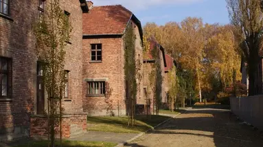Auschwitz-Birkenau - 1 dzień