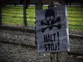 Auschwitz-Birkenau - 1 dzień