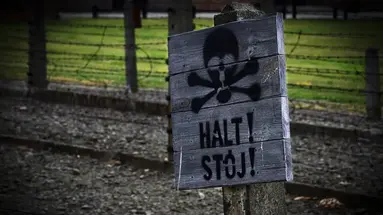 Auschwitz-Birkenau - 1 dzień