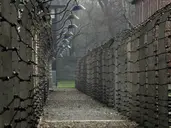 Auschwitz-Birkenau - 1 dzień
