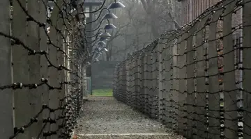 Auschwitz-Birkenau - 1 dzień