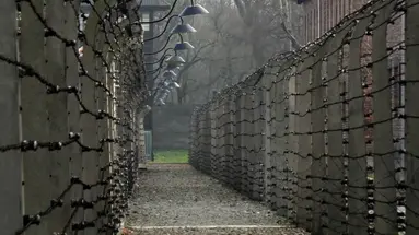 Auschwitz-Birkenau - 1 dzień