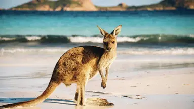 Australia i Nowa Zelandia - Po drugiej stronie Ziemi