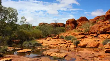 Australia i Nowa Zelandia w pigułce