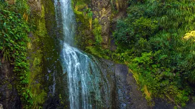 Australia, Nowa Zelandia - Od A do Z