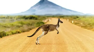 Australia, Nowa Zelandia - Od A do Z