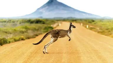 Australia, Nowa Zelandia - Od A do Z