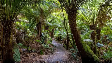 Australia Tysiąca Barw