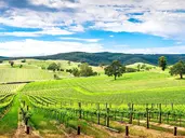 Australia Tysiąca Barw