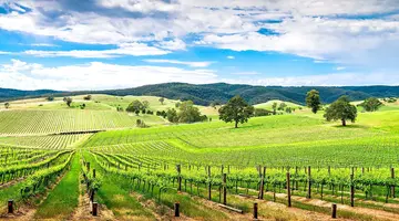 Australia Tysiąca Barw