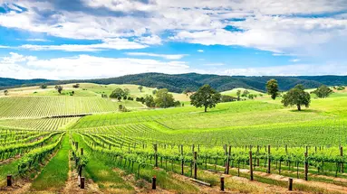 Australia Tysiąca Barw