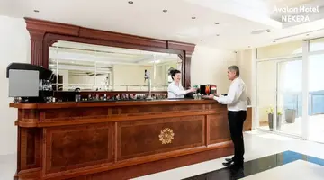 Avalon Palace Hotel