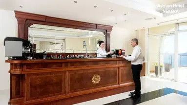 Avalon Palace Hotel