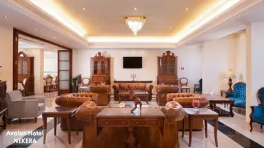 Avalon Palace Hotel
