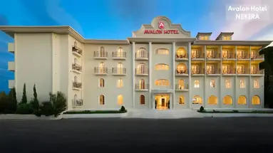 Avalon Palace Hotel