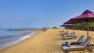 Avani Kalutara