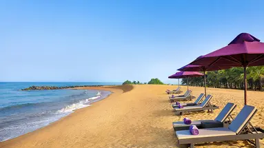 Avani Kalutara