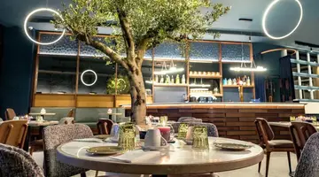 Axis Porto Club