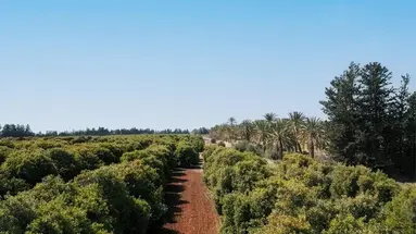 Azia Resort and Spa