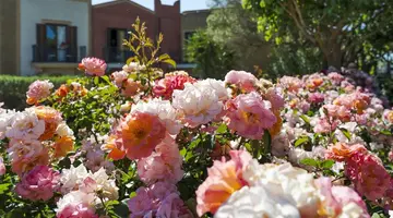 Baglio Oneto dei Principi di San Lorenzo - Luxury Wine Resort