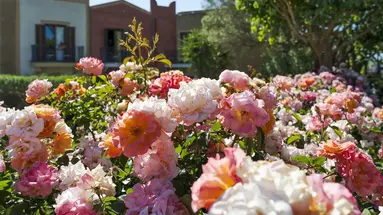 Baglio Oneto dei Principi di San Lorenzo - Luxury Wine Resort
