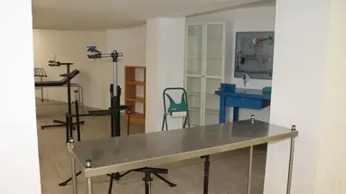 Bahia de Alcudia Hotel & Spa