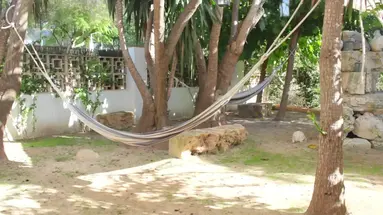 Bahia de Alcudia Hotel & Spa
