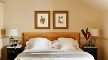Bahia Del Duque Resort