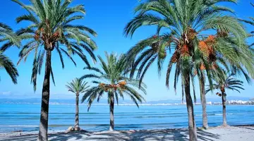 Bahia Del Sol