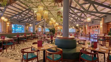 Bahia Principe Escape Ambar