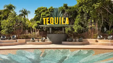 Bahia Principe Escape Tequila